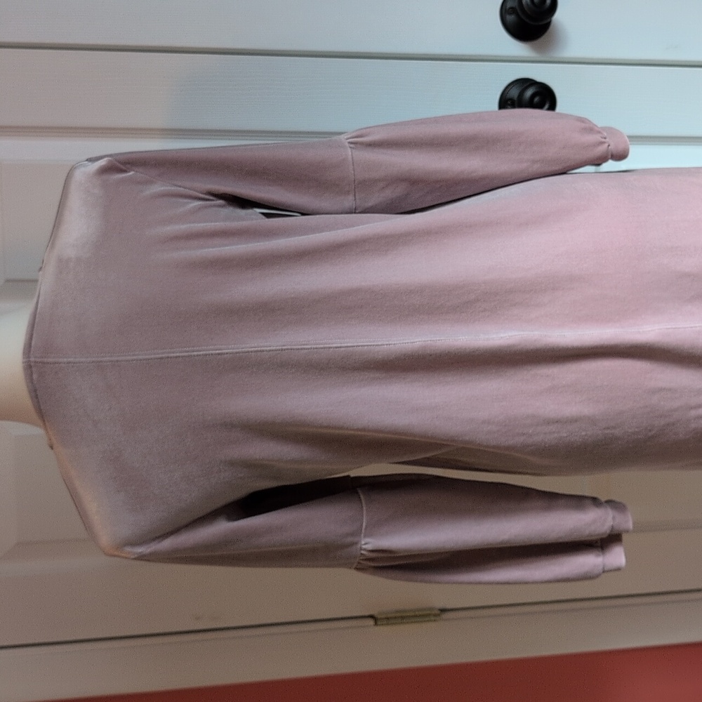 Madewell Mauve V-Neck Long Sleeve Velour Dress - Picture 5 of 9